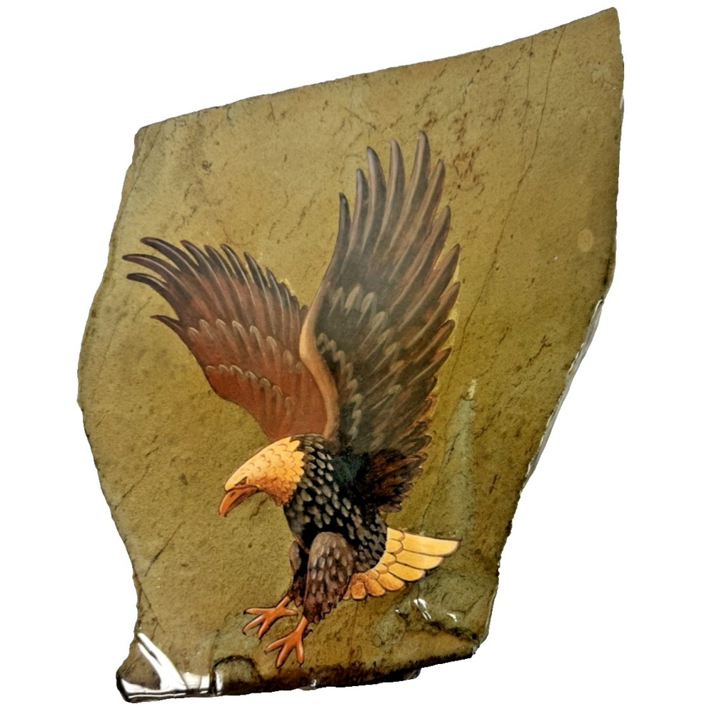 Indian Originals on Slate‎ Nature Art Bald Eagle Raptor Made in USA South Dakota